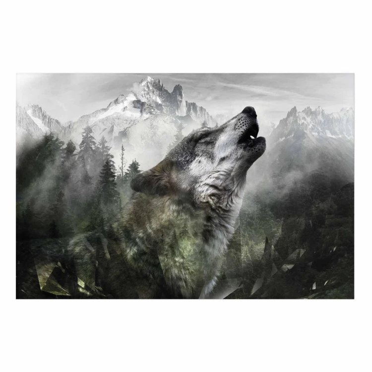 Plakat - Wyjący wilk