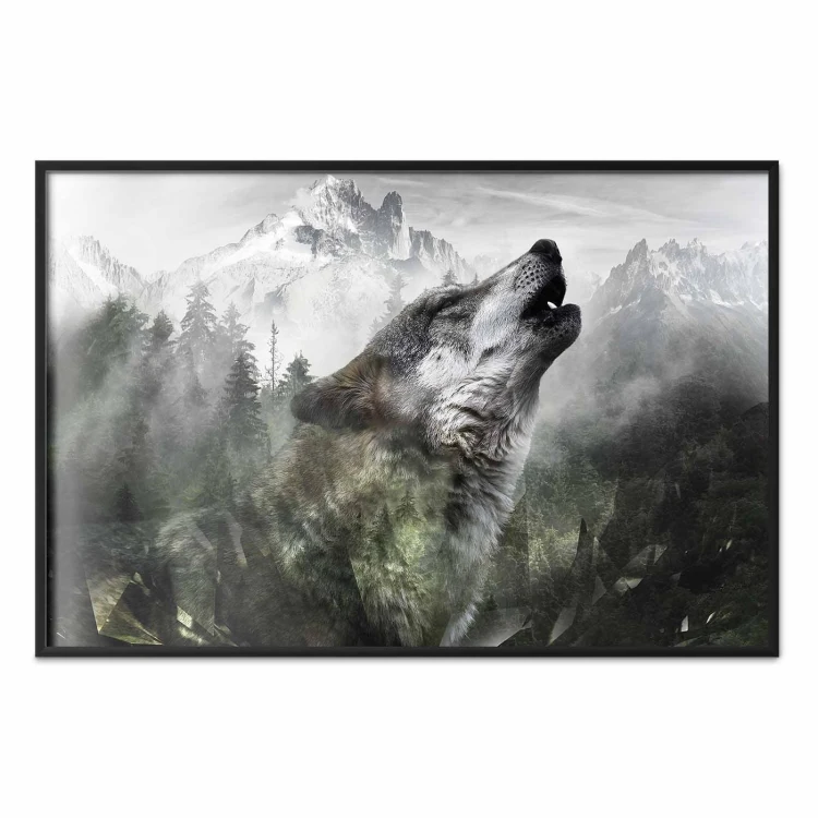 Plakat - Wyjący wilk