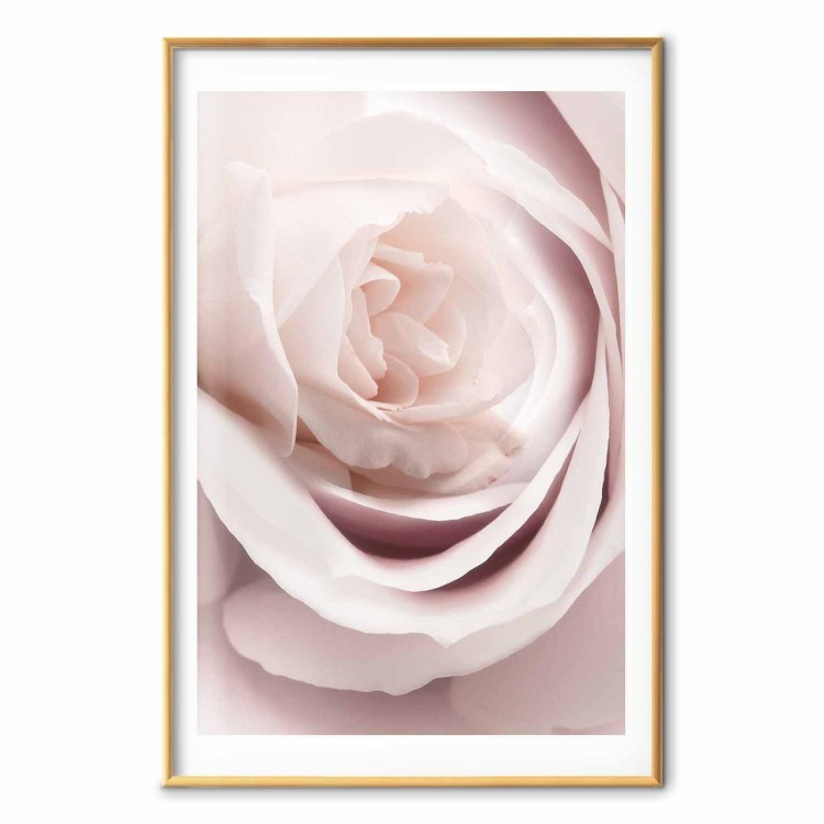 Plakat - Porcelanowa róża