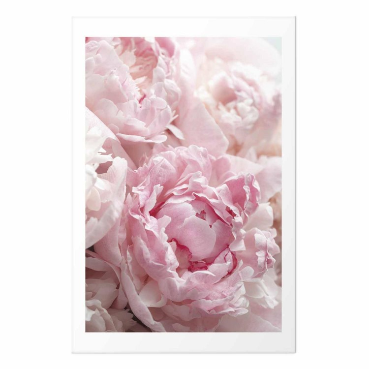 Plakat - Nostalgia poranka