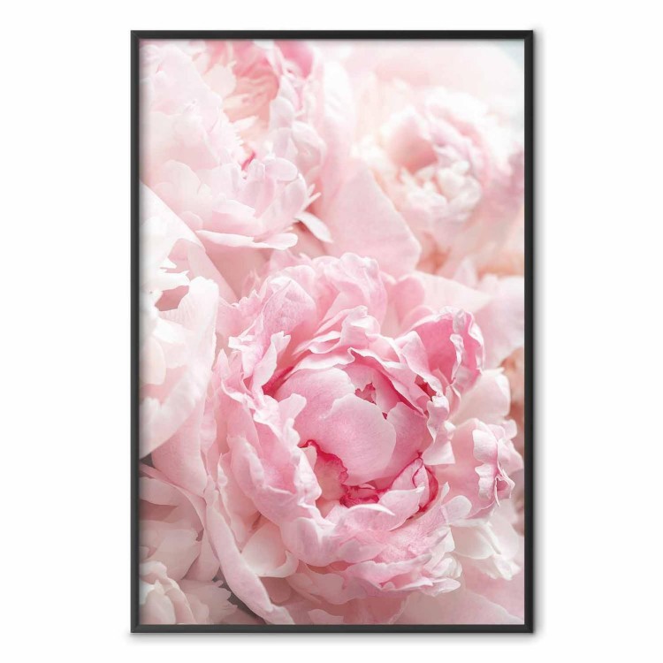 Plakat - Nostalgia poranka