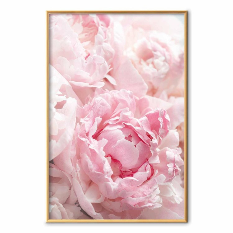 Plakat - Nostalgia poranka