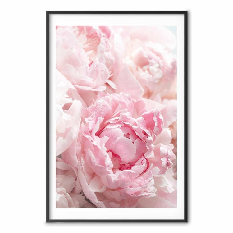 Plakat - Nostalgia poranka