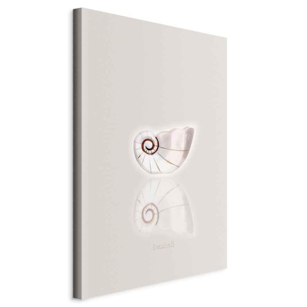 Obraz - Ceramiczna muszla (1-częściowy) pionowy