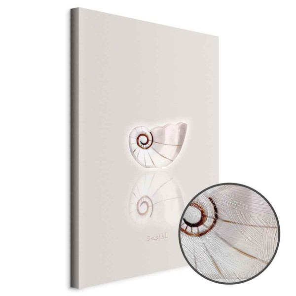 Obraz - Ceramiczna muszla (1-częściowy) pionowy