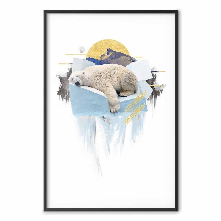 Plakat - Niedźwiedź polarny