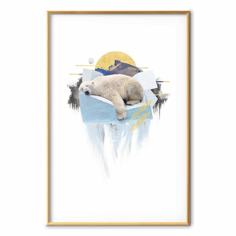 Plakat - Niedźwiedź polarny
