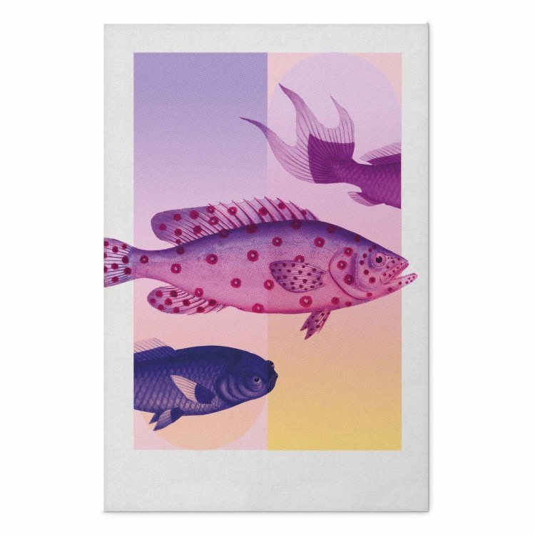 Plakat - Fantazyjne Ryby - artystyczna ilustracja ryb na kolorowym tle