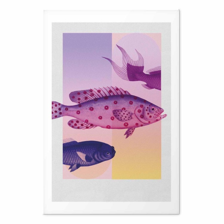 Plakat - Fantazyjne Ryby - artystyczna ilustracja ryb na kolorowym tle