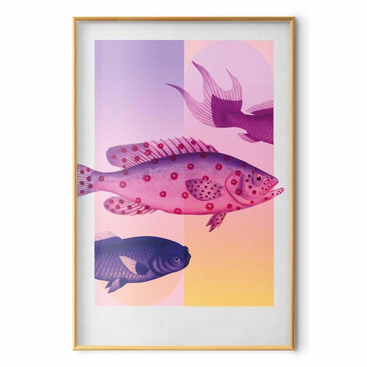 Plakat - Fantazyjne Ryby - artystyczna ilustracja ryb na kolorowym tle