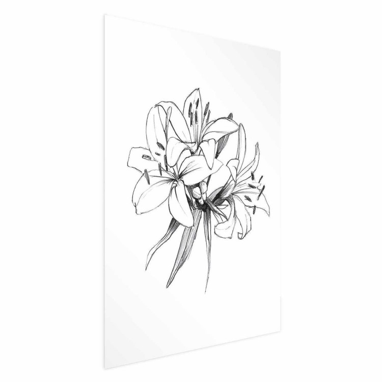 Plakat - Rysowane kwiaty