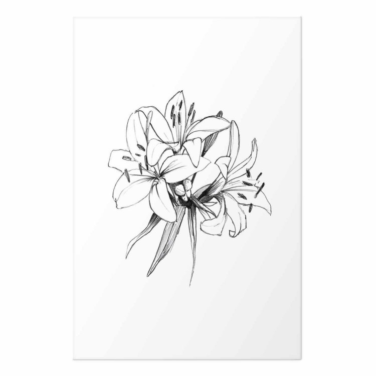 Plakat - Rysowane kwiaty