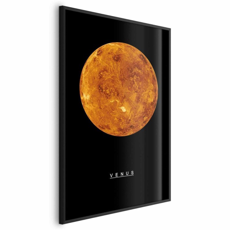 Plakat - Wenus