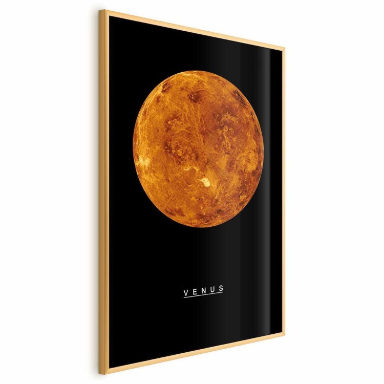 Plakat - Wenus