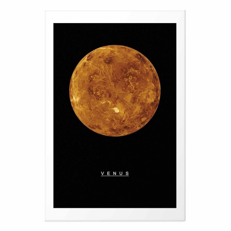Plakat - Wenus