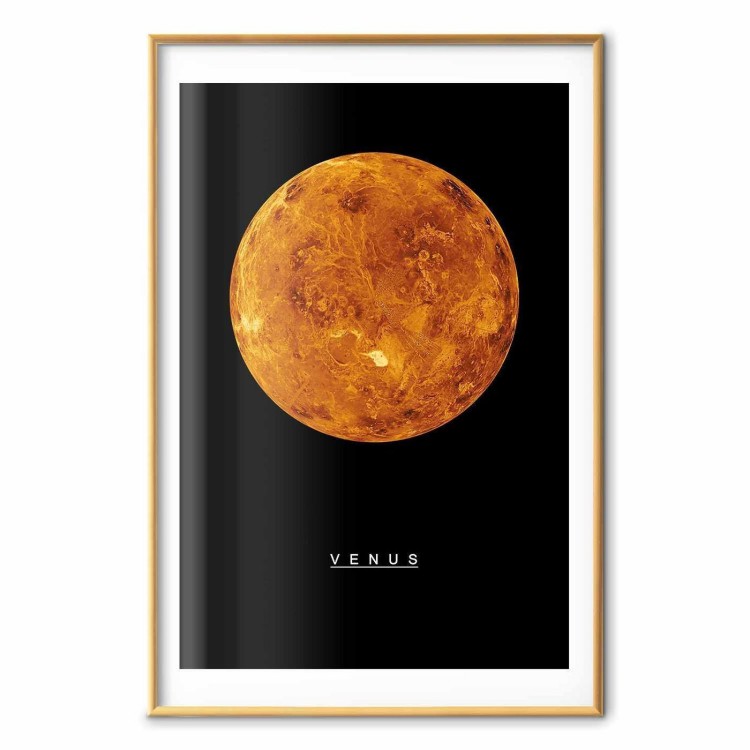 Plakat - Wenus
