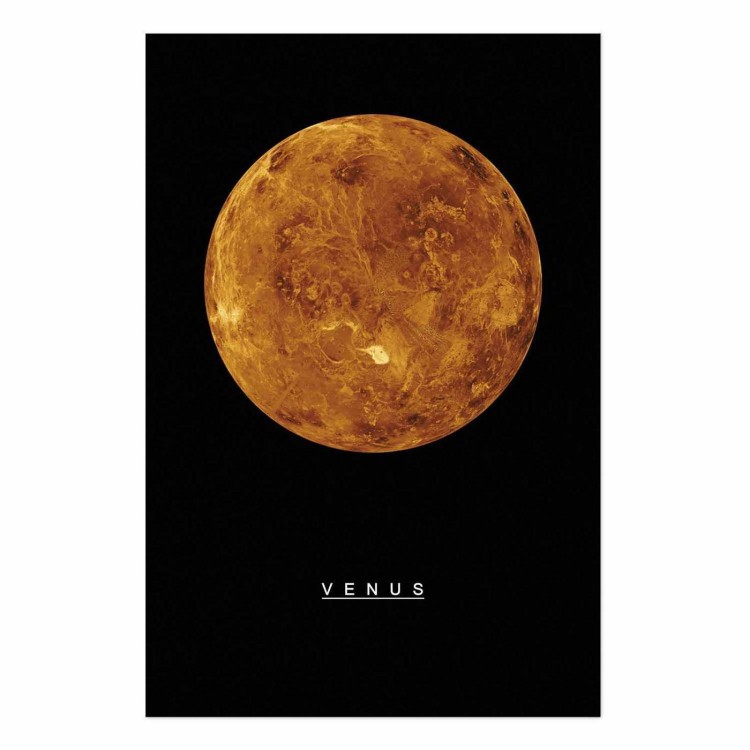 Plakat - Wenus