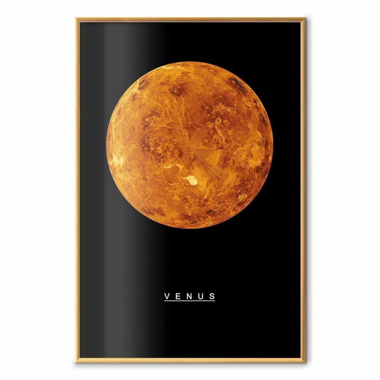 Plakat - Wenus