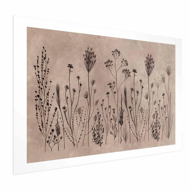 Plakat - Polne kwiaty - czarne rośliny na tle w technice lime wash