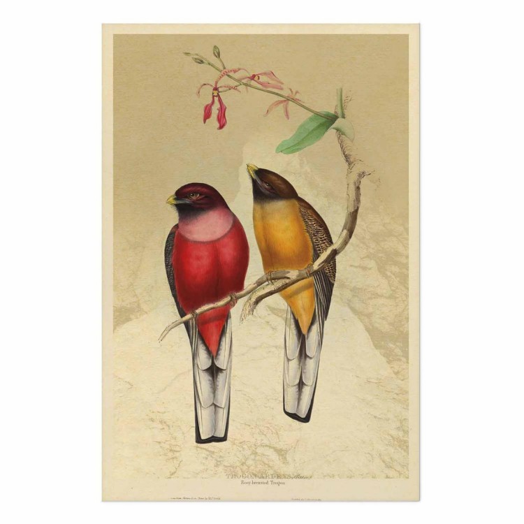 Plakat - Ptaki na gałązce