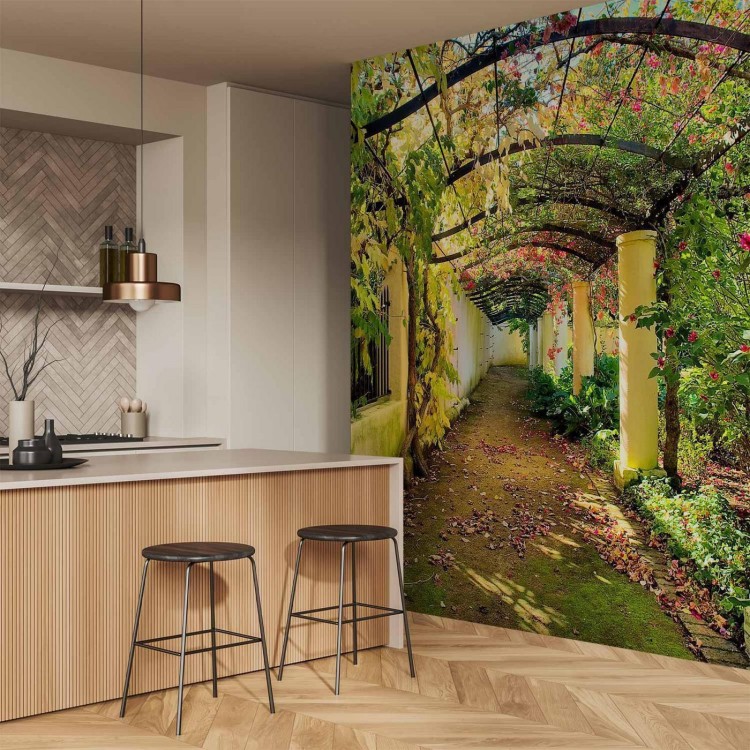 Fototapeta - Pergola