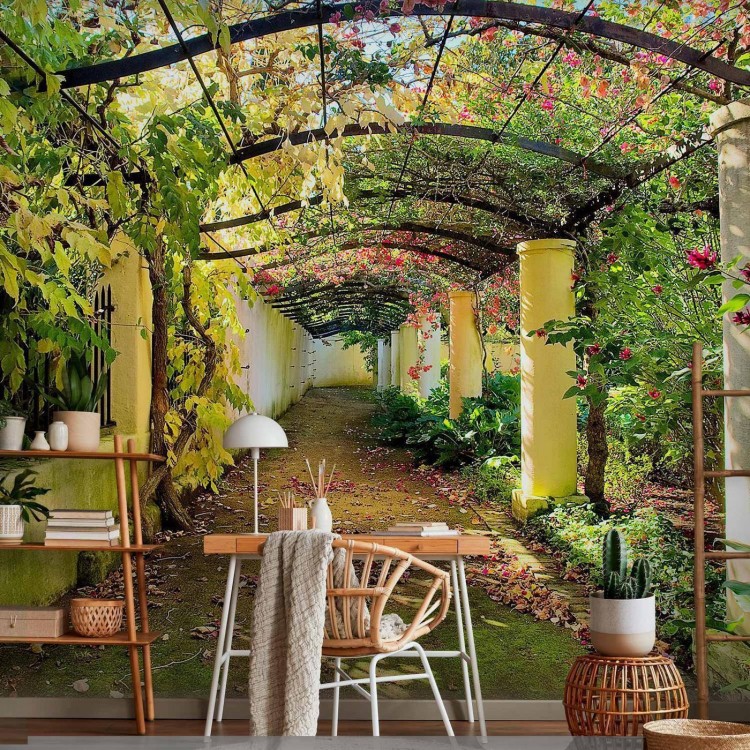 Fototapeta - Pergola