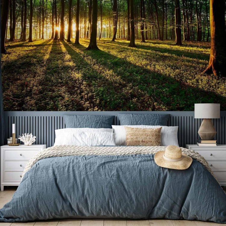 Fototapeta - Mistyczny poranek