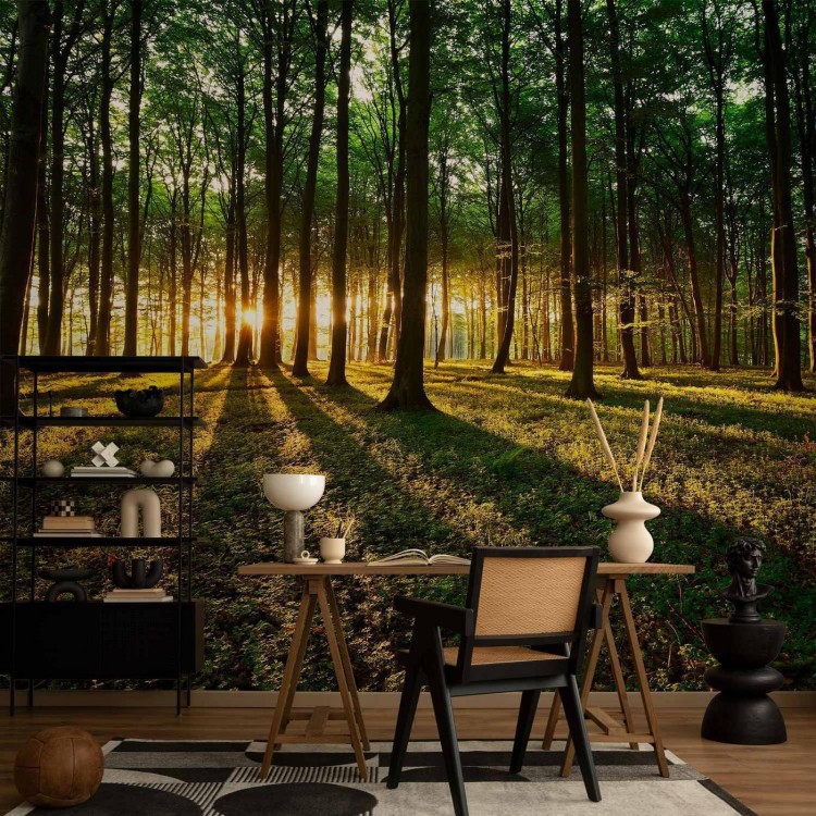 Fototapeta - Mistyczny poranek