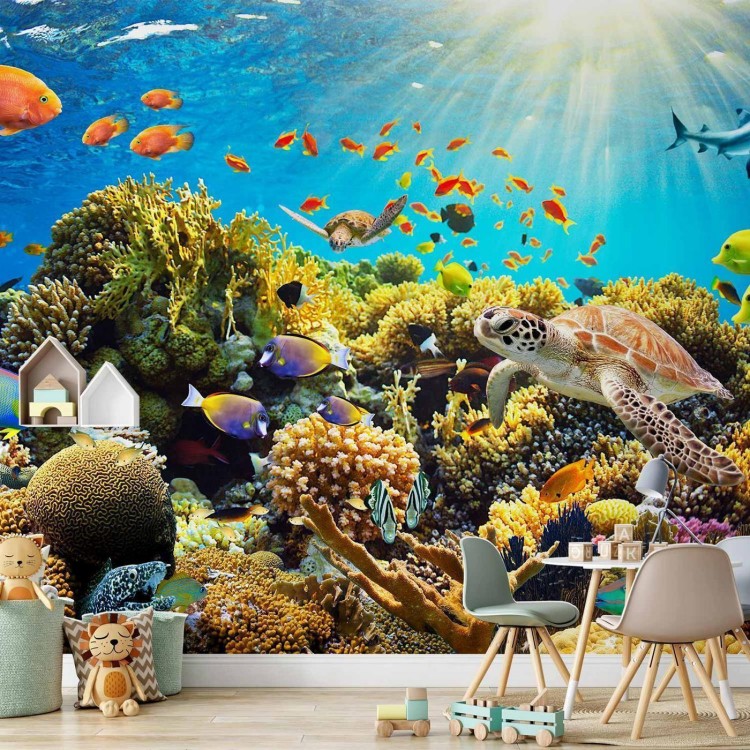 Fototapeta - Podwodny świat