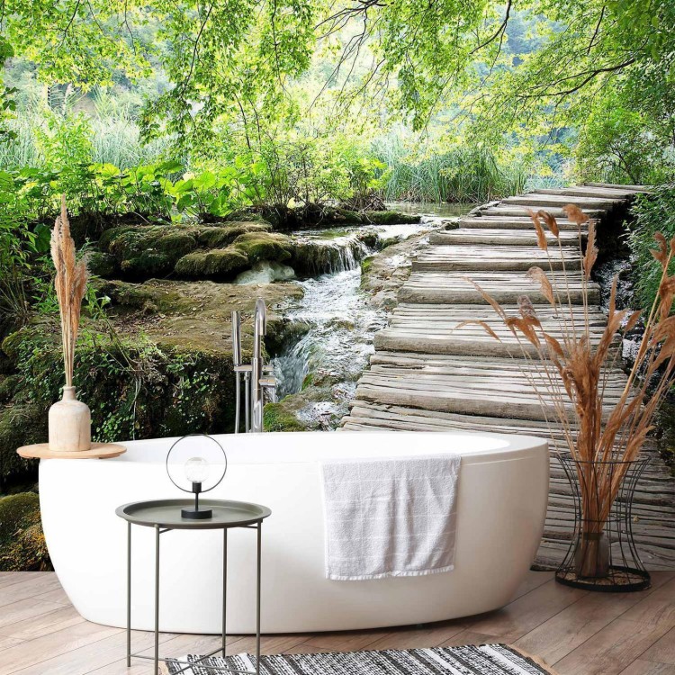 Fototapeta - Leśna ścieżka