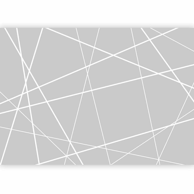 Fototapeta - Nowoczesna pajęczyna