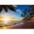 Fototapeta - Tropikalna plaża