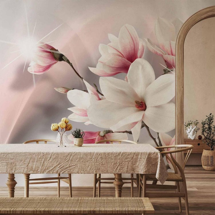 Fototapeta - Białe magnolie
