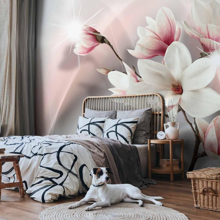 Fototapeta - Białe magnolie