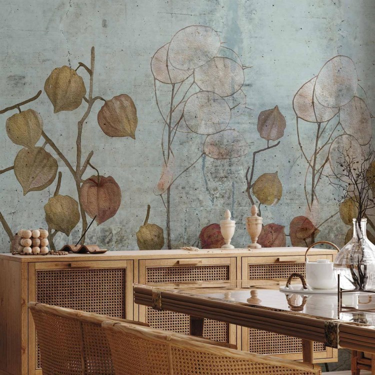 Fototapeta - Malowana lunaria