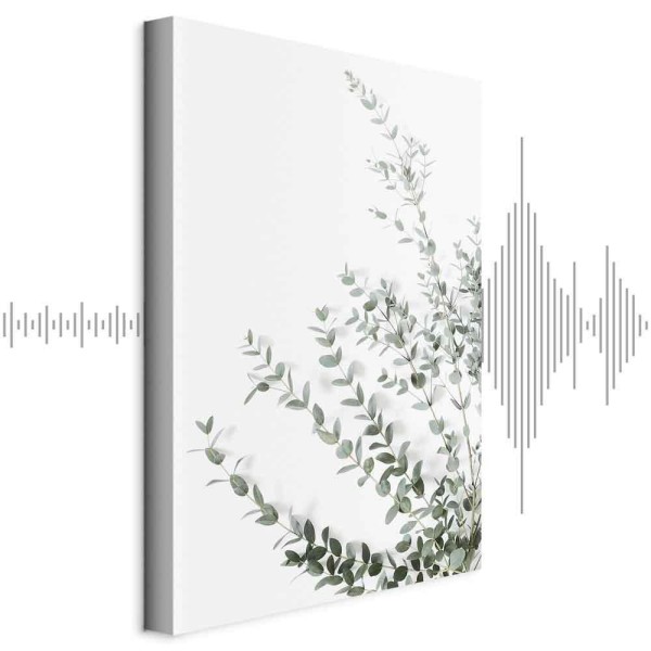 Obraz - Eukaliptus Parvifolia (1-częściowy) pionowy