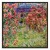 Obraz - Claude Monet – Dom wśród róż