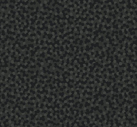 bw21710.jpg