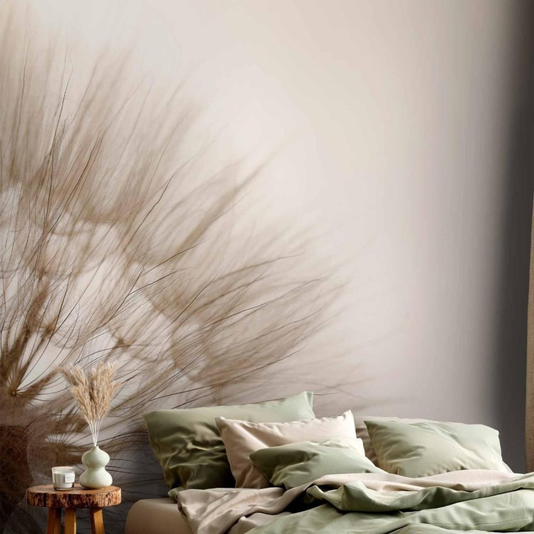 Fototapeta - Natura w przybliżeniu - motyw zbliżonego kwiatu dmuchawca w sepii