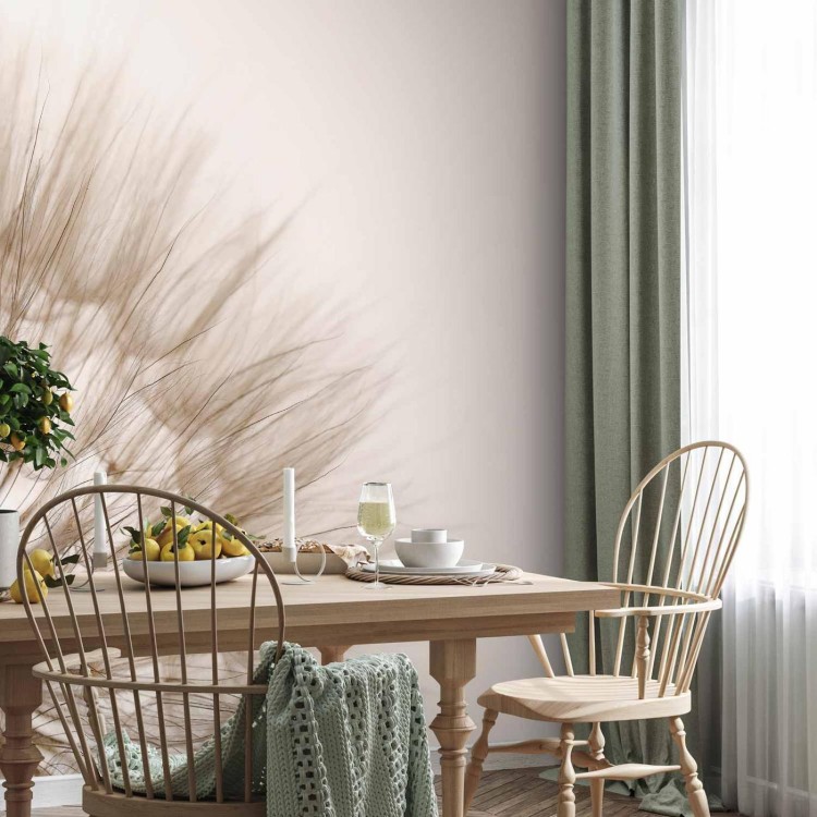 Fototapeta - Natura w przybliżeniu - motyw zbliżonego kwiatu dmuchawca w sepii