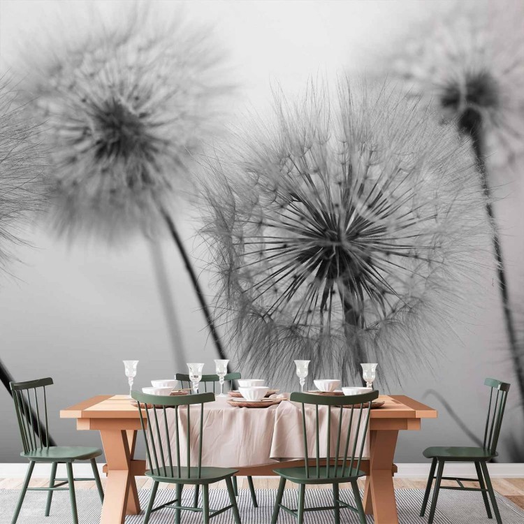 Fototapeta - Pora na dmuchawce - drugi wariant