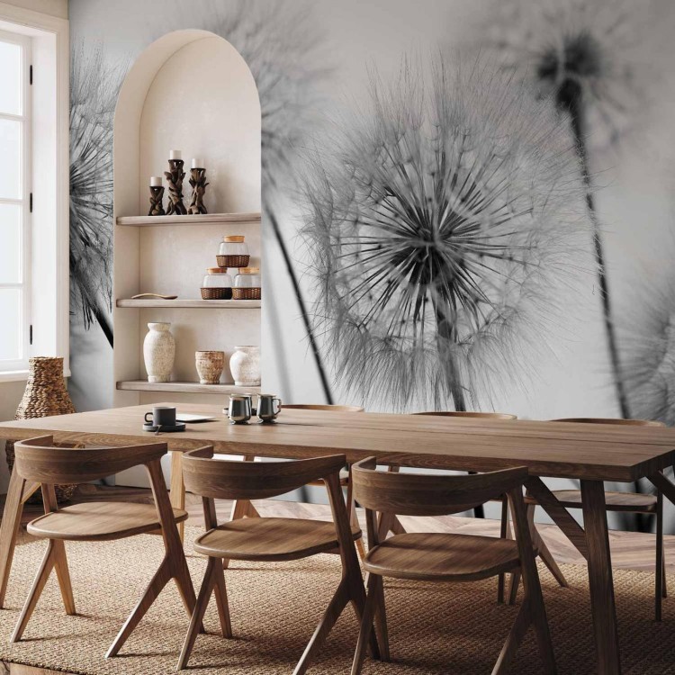 Fototapeta - Pora na dmuchawce - drugi wariant