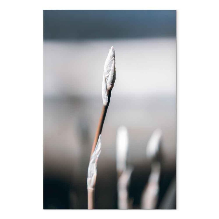 Obraz - Botaniczny minimalizm (1-częściowy) pionowy