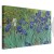 Obraz - Vincent van Gogh – Irysy