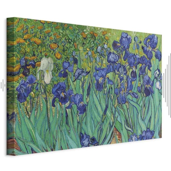 Obraz - Vincent van Gogh – Irysy