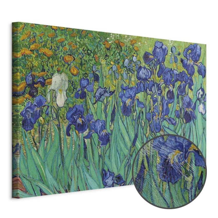 Obraz - Vincent van Gogh – Irysy
