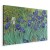 Obraz - Vincent van Gogh – Irysy