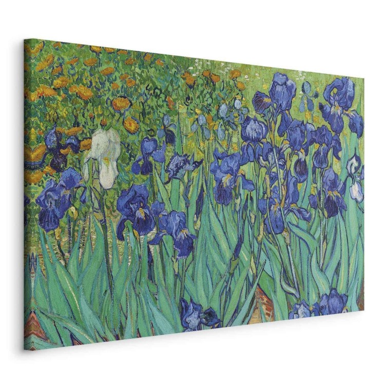 Obraz - Vincent van Gogh – Irysy