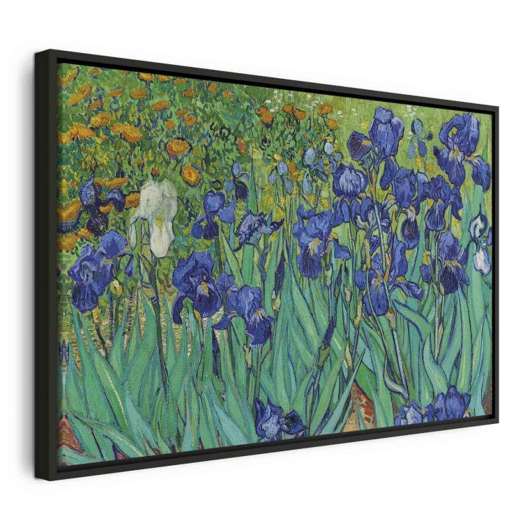 Obraz - Vincent van Gogh – Irysy