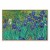 Obraz - Vincent van Gogh – Irysy